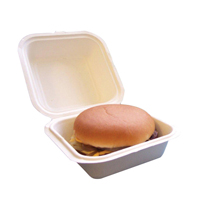 SUPER RIGID BURGER BOXES PK50