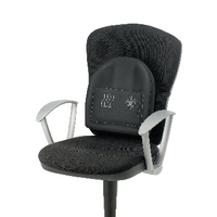 FELLOWES PRO HEAT/SOOTHE BACK SUPPORT