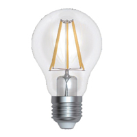CED 6W 600LM LED FILAMENT LAMP