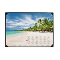 DURABLE BEACH DESK MAT 590 X 420MM