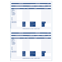 FREEWAY 1-PART A4 PAY ADVICE PK1000 FY95