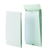 SECURITEX C4 ENV GSSET PEEL SEAL WHT P50