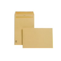 NEW GUARDIAN ENV 381X254 S SEAL MAN P250