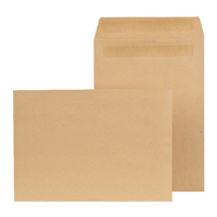 NEW GUARDIAN C4 SELF SEAL ENV MAN PK250