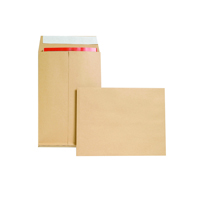 NEW GUARDIAN ENV GUSSET P SEAL MAN PK100