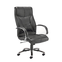 FF RICHMOND ARISTA HBK LEATHER EXEC CHR
