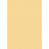 DECADRY PARCHMENT GOLD A4 L/HEADS PK100