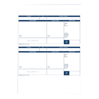 PEGASUS CAPITAL 1-PT A4 PAY SLIP PK500