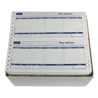 SAGE COMPAT 3-PT SECURITY PAY SLIP SE33