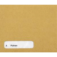 SAGE COMPAT WAGE ENVELOPE PK1000 SE45