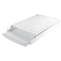 TYVEK D4 ENV GUSSET PEEL SEAL WHT P100