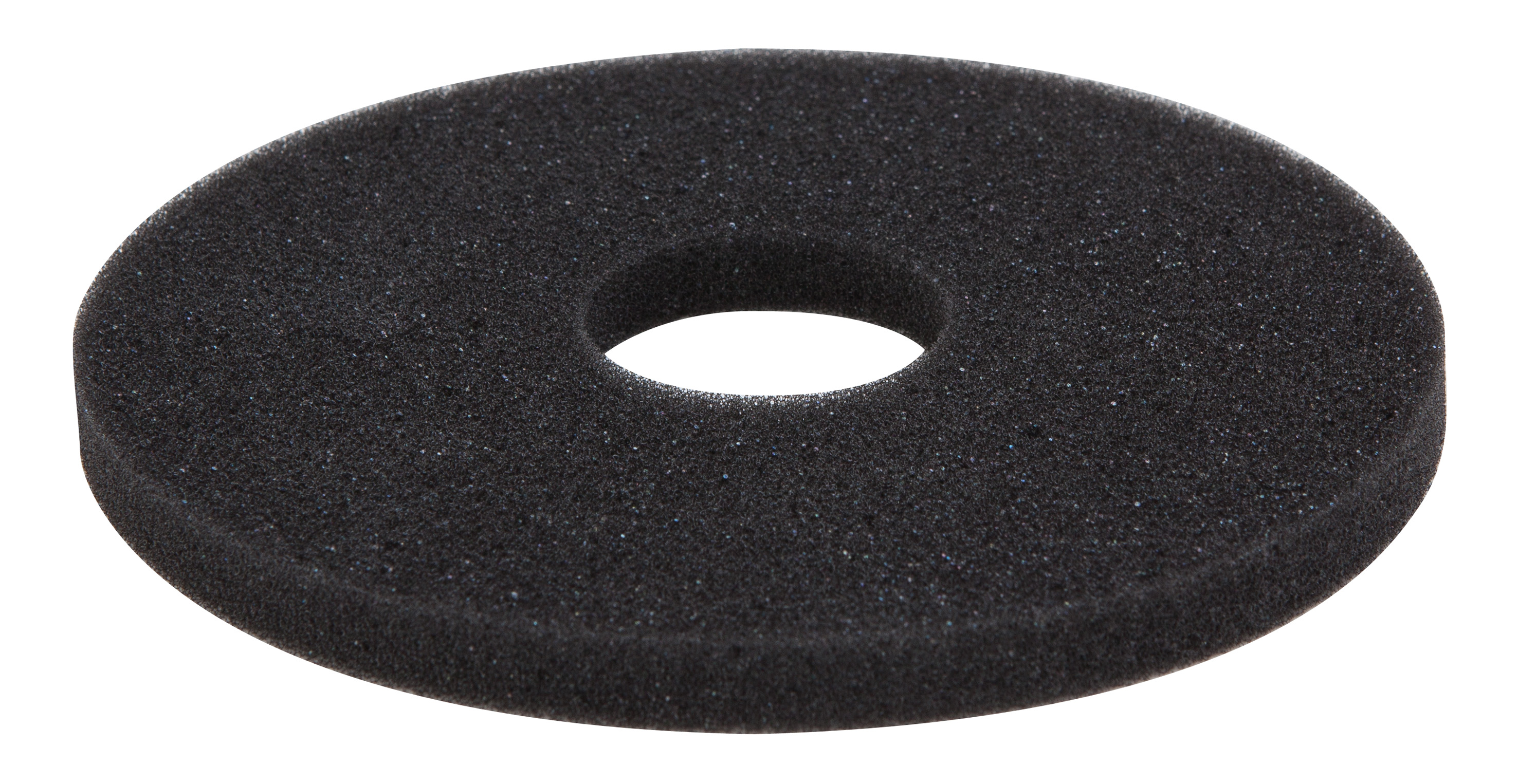 SPARE SPONGE FOR GLASS RIMMER