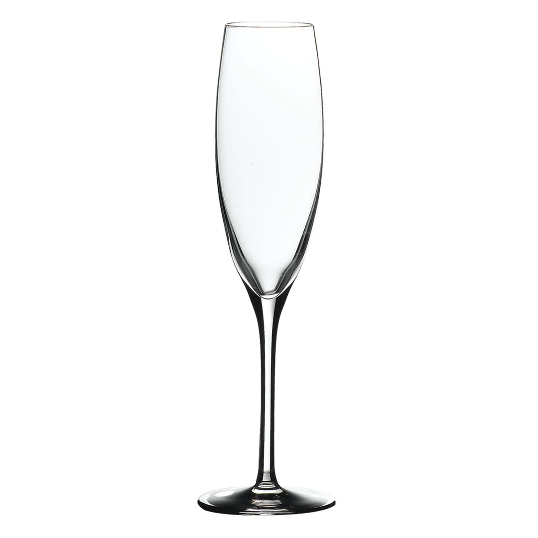 BANQUET CHAMPAGNE FLUTE 170ML/6OZ PK 6