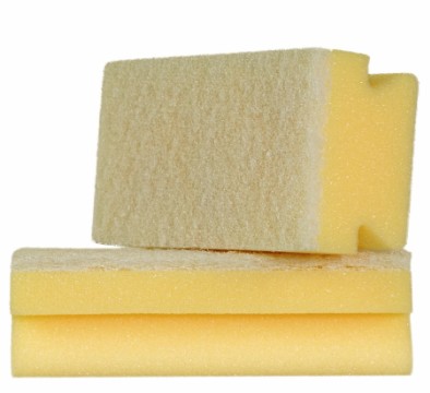 Sponge With Non Abrasive White Scourer PK 10