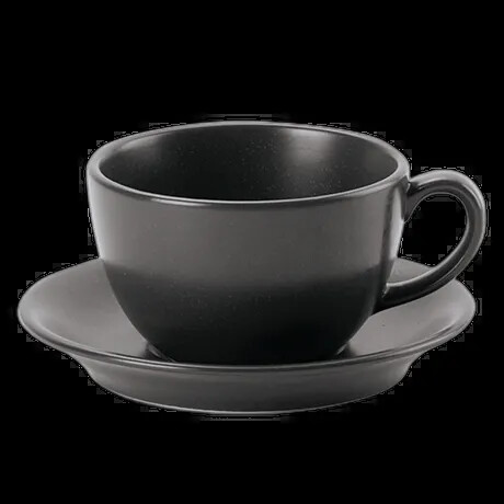 GRAPHITE BOWL SHAPE CUP 25CL/9OZ PK 6