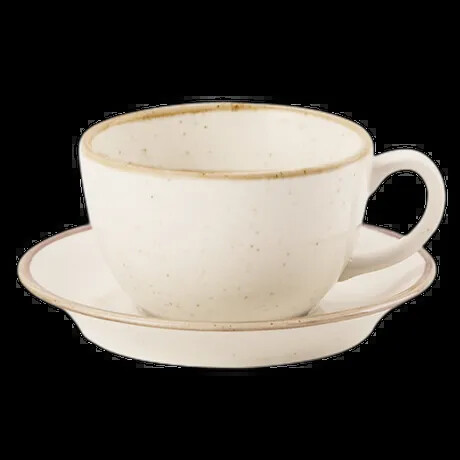OATMEAL BOWL SHAPE CUP 25CL/9OZ PK 6