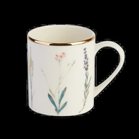 BOTANICAL CUP 25CL PK 6